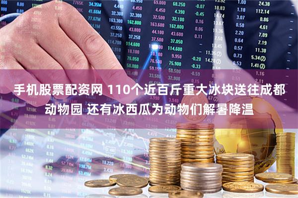 手机股票配资网 110个近百斤重大冰块送往成都动物园 还有冰西瓜为动物们解暑降温