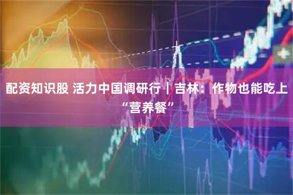 配资知识股 活力中国调研行｜吉林：作物也能吃上“营养餐”