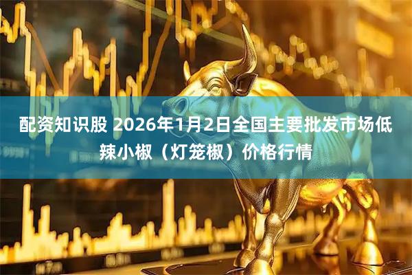配资知识股 2026年1月2日全国主要批发市场低辣小椒（灯笼椒）价格行情